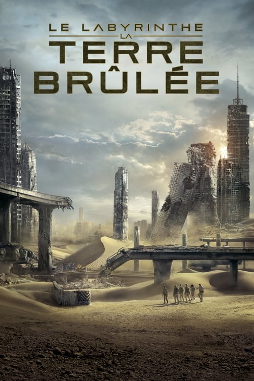 Jaquette Le Labyrinthe : La Terre brûlée