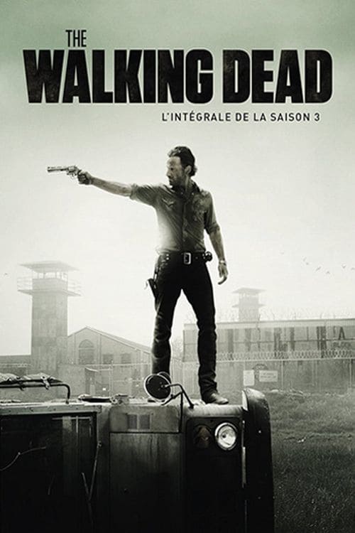 Jaquette The Walking Dead