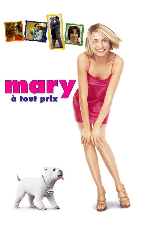 Jaquette Mary à tout prix