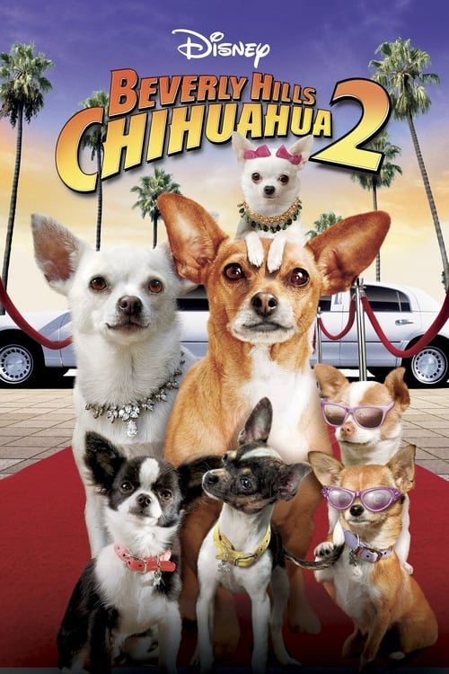 Jaquette Le Chihuahua de Beverly Hills 2