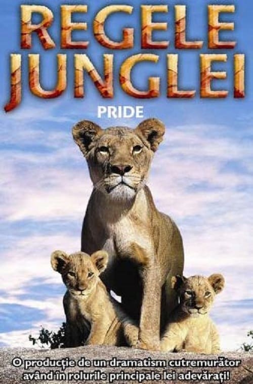 Jaquette Le Clan des rois