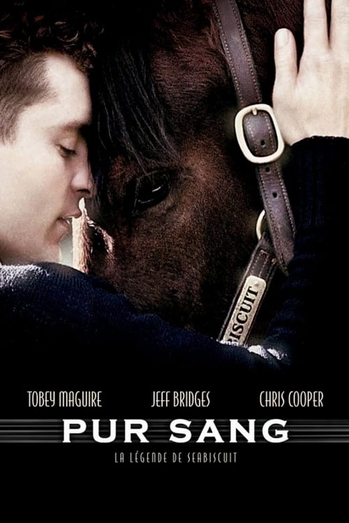 Jaquette Pur Sang, la légende de Seabiscuit
