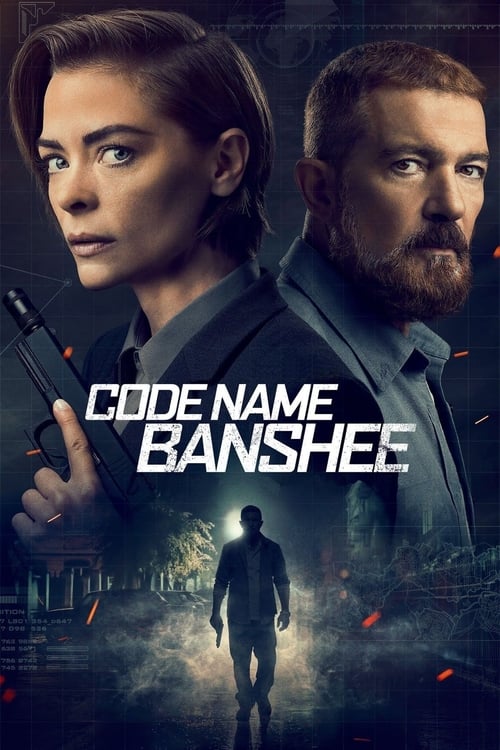 Jaquette Code Name Banshee