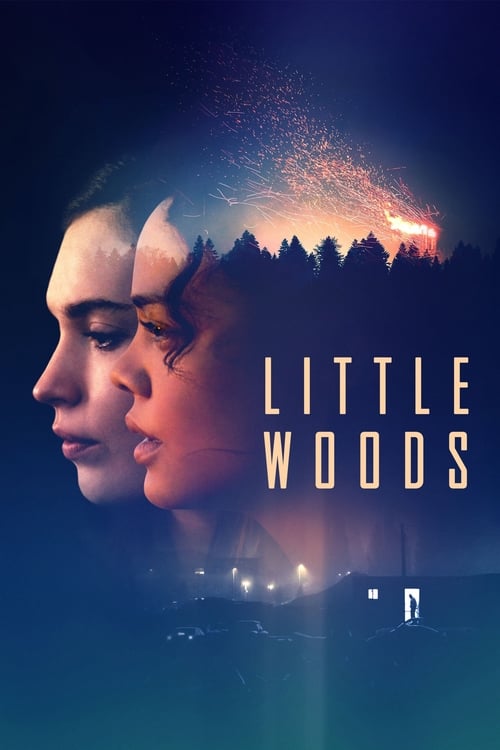 Jaquette Little Woods