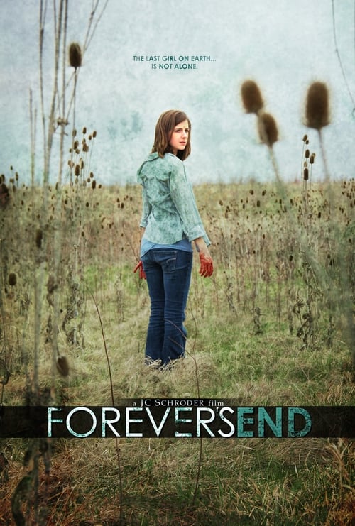 Jaquette Forever's End