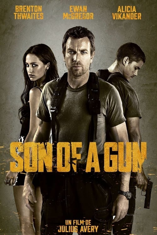 Jaquette Son of a Gun
