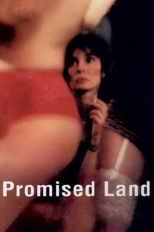 Jaquette Terre promise