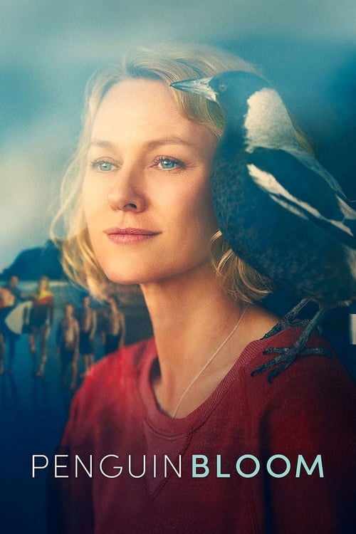 Jaquette Penguin Bloom