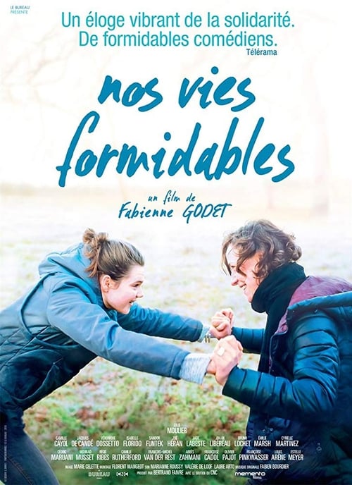 Jaquette Nos vies formidables