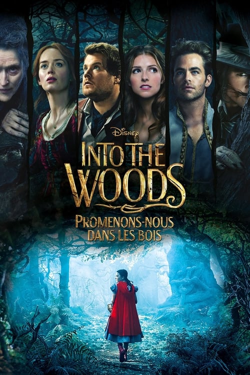 Jaquette Into the Woods : Promenons-nous dans les bois