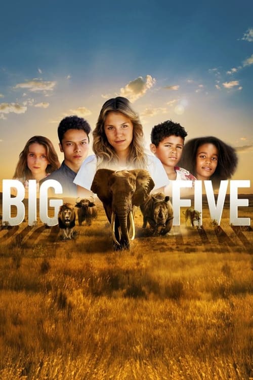 Jaquette Big Five