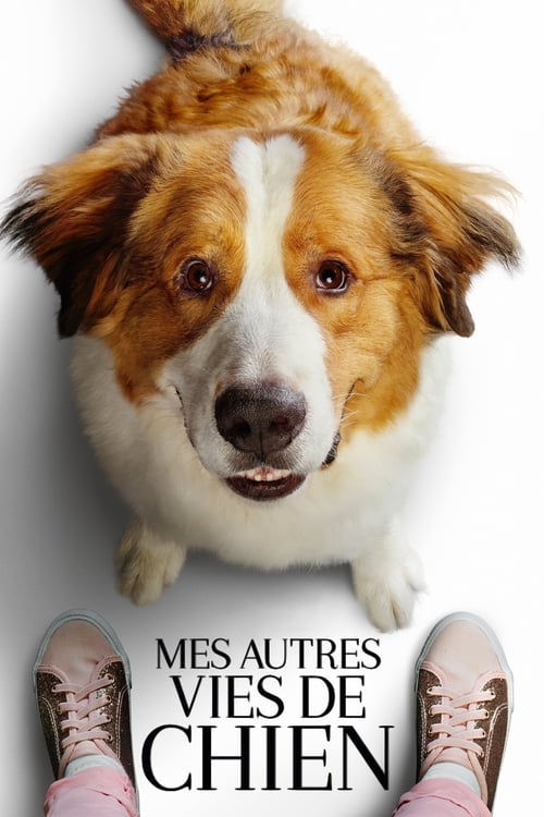 Jaquette Mes Autres Vies de Chien