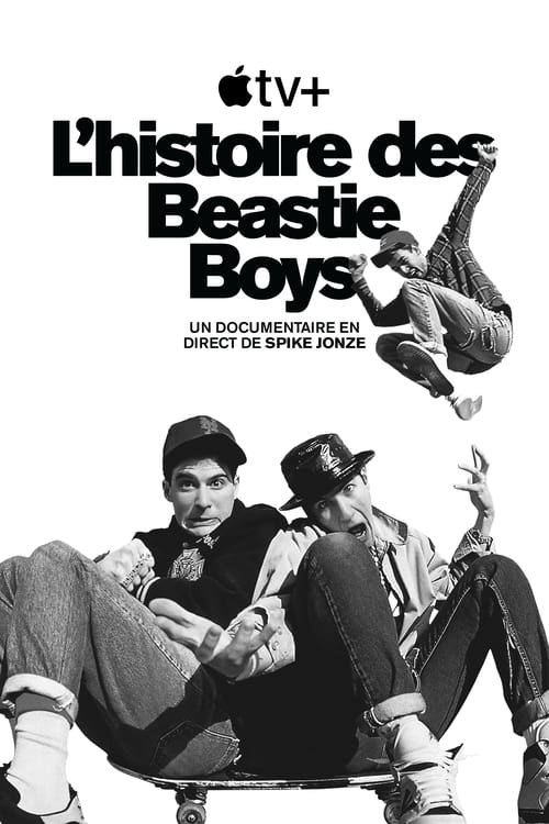 Jaquette Beastie Boys Story