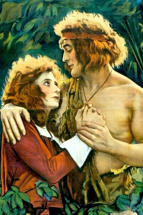 Jaquette Investigating Tarzan