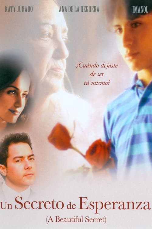 Jaquette Un secreto de Esperanza