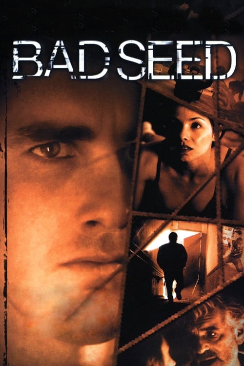 Jaquette Bad Seed
