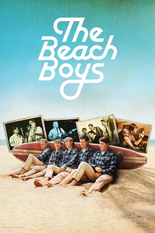 Jaquette The Beach Boys