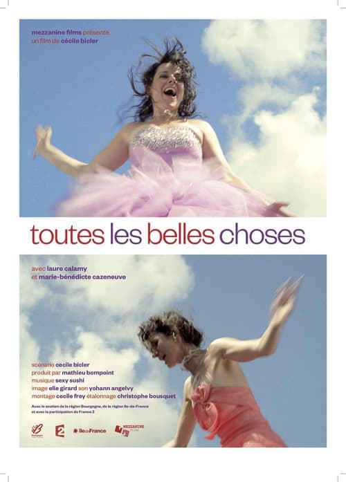 Jaquette Toutes les belles choses
