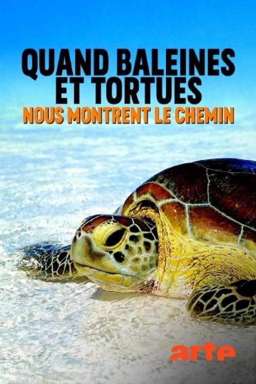 Jaquette Quand baleines et tortues nous montrent le chemin