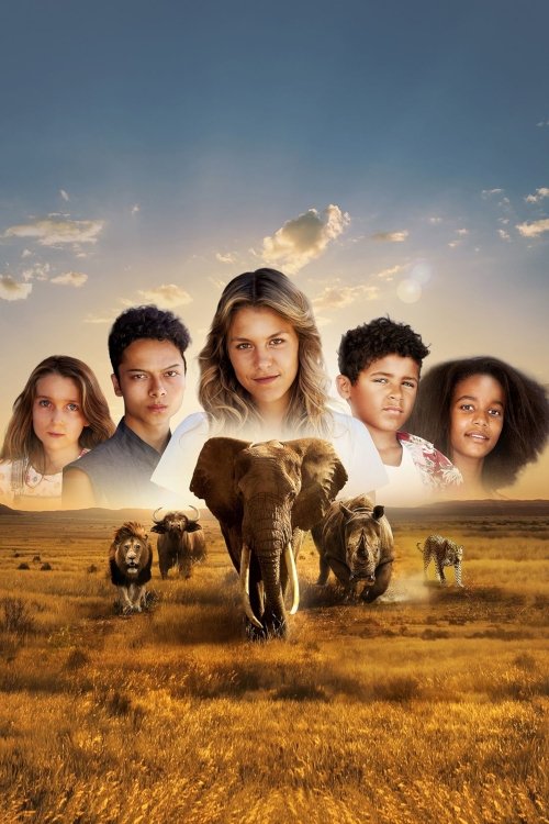 Jaquette Big Five
