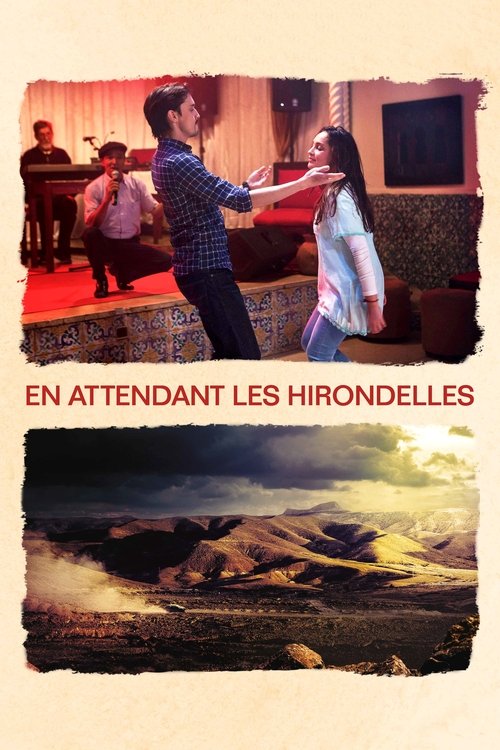 Jaquette En Attendant Les Hirondelles