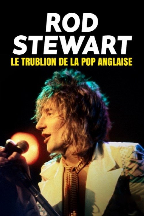 Jaquette Rod Stewart, le trublion de la pop anglaise