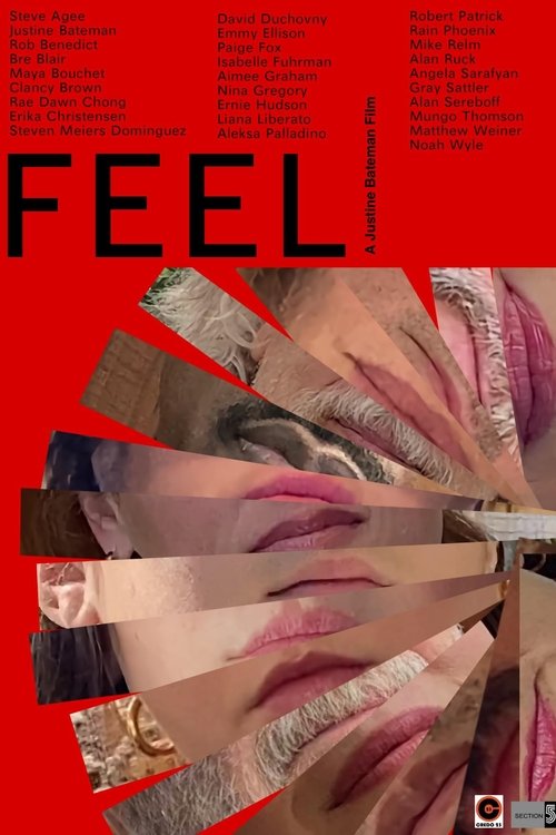 Jaquette FEEL