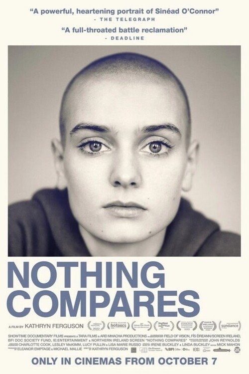 Jaquette Nothing Compares