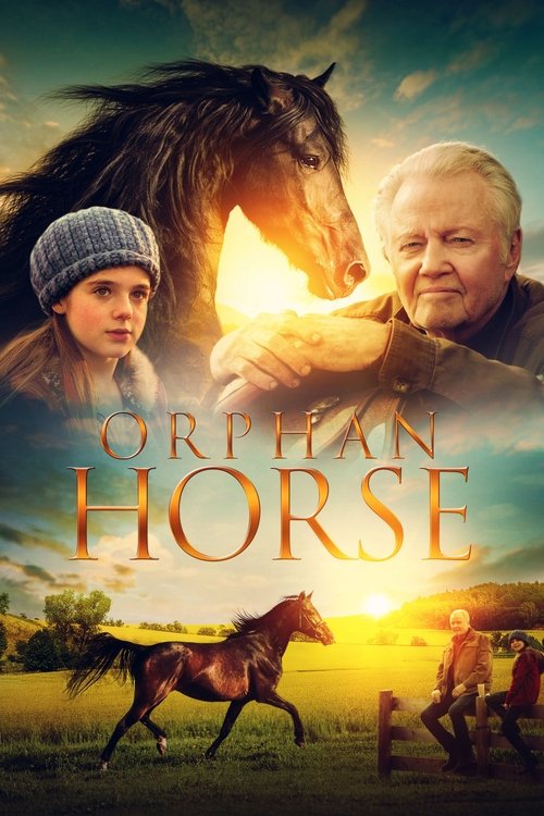 Jaquette Orphan Horse