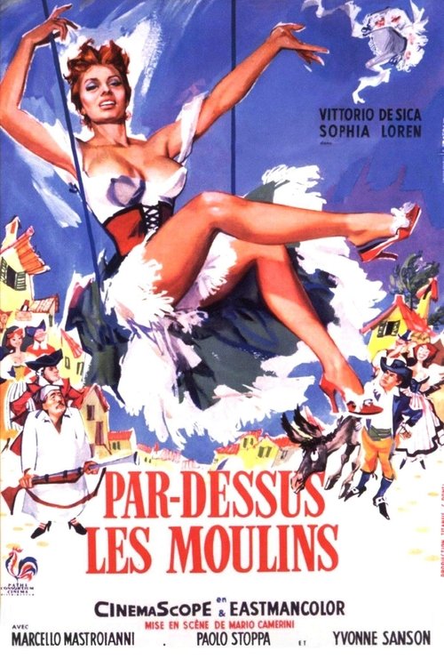 Jaquette Par-dessus les moulins