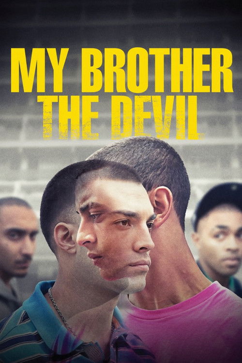Jaquette My Brother the Devil