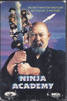 Jaquette Ninja Academy
