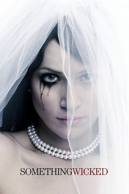 Jaquette Something Wicked