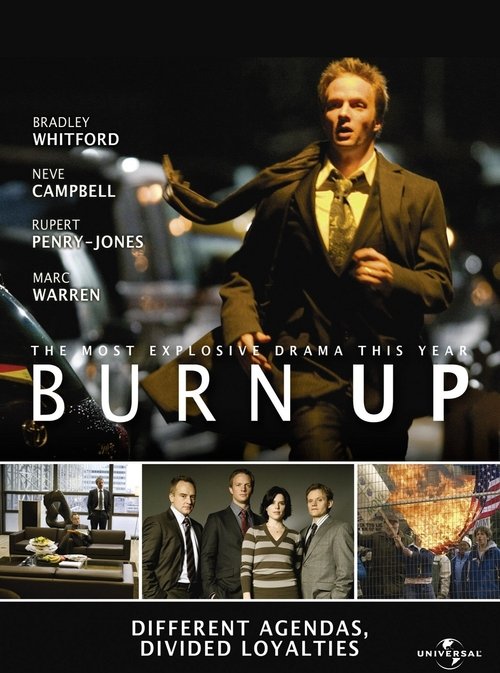 Jaquette Burn Up