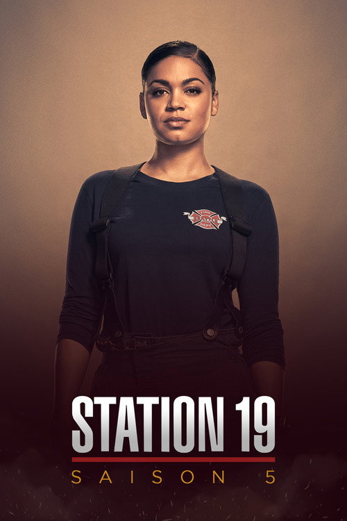 Jaquette Grey's Anatomy, Station 19