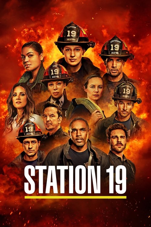 Jaquette Grey's Anatomy, Station 19