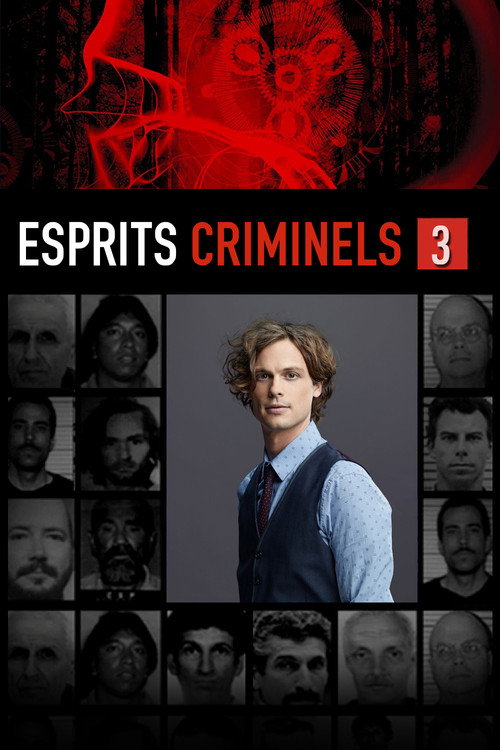 Jaquette Esprits criminels