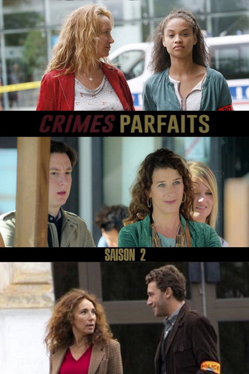Jaquette Crimes parfaits