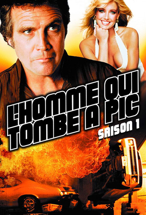 Jaquette L'homme qui tombe à pic