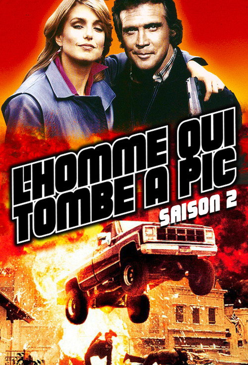 Jaquette L'homme qui tombe à pic