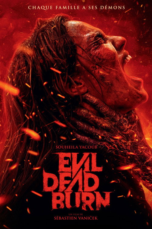 Jaquette Evil Dead Burn