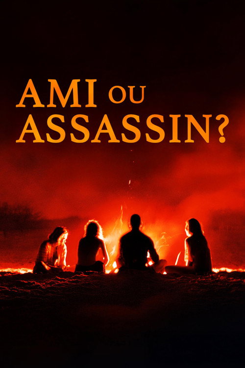 Jaquette Ami ou Assassin ?