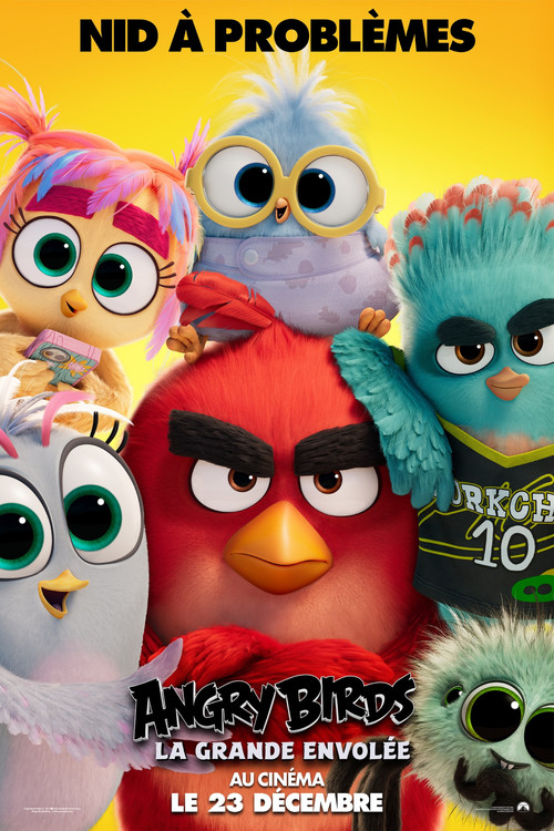 Jaquette Angry Birds, La grande envolée