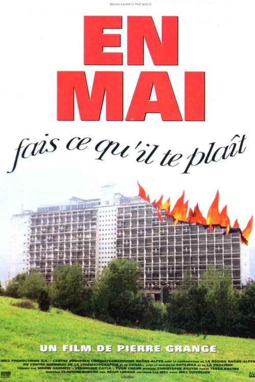Jaquette En mai, fais ce qu'il te plaît