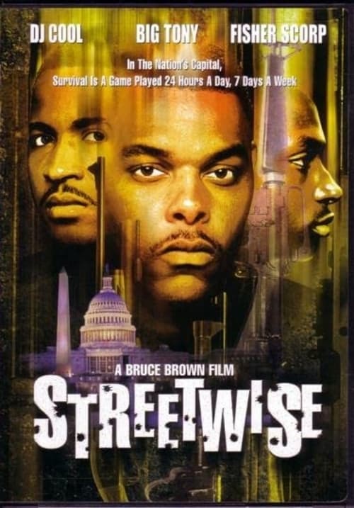 Jaquette Streetwise