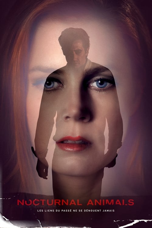 Jaquette Nocturnal Animals