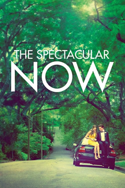 Jaquette The Spectacular Now