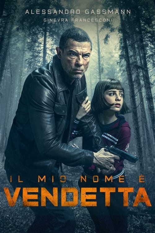 Jaquette My Name Is Vendetta
