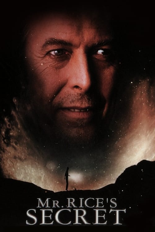 Jaquette Le secret de M. Rice