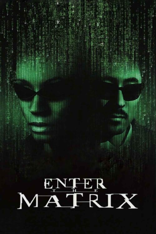 Jaquette Making 'Enter the Matrix'